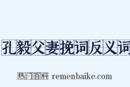 孔毅父妻挽词反义词是什么意思的图片